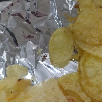 Lays İçinden Böcek Çıktı