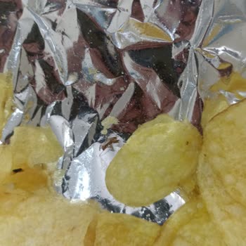 Lays İçinden Böcek Çıktı