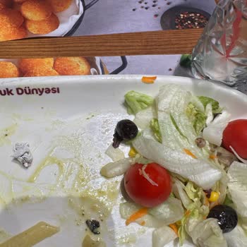 Tavuk Dünyasının Temiz Olmayan Salatası