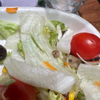 Tavuk Dünyasının Temiz Olmayan Salatası