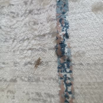 @Meryemcee_home Adlı Hali Sayfası Ve Sitesi Pişmanlıktır