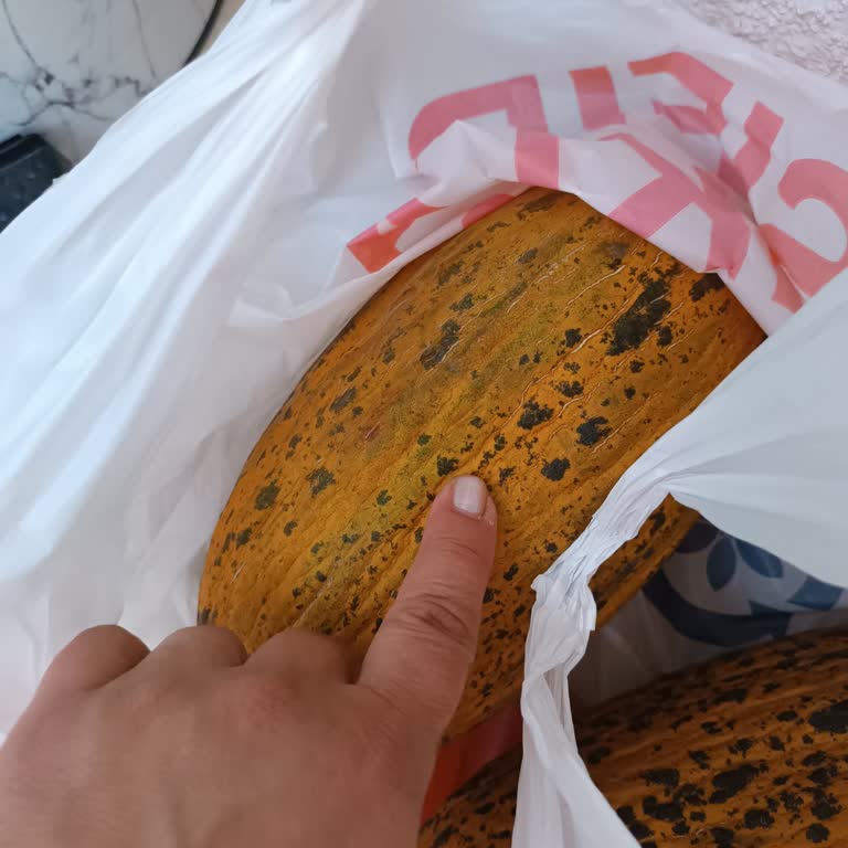 Migros Gürpınar Şube Şikayet.