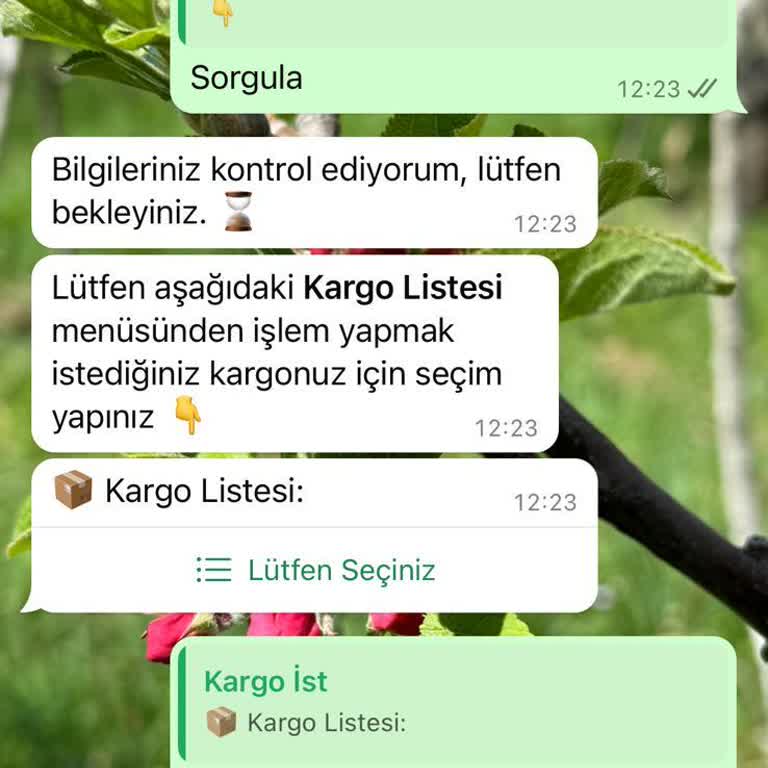 Skechers Ürün Teslimatı, Sırasında Yaşanan Kargo Sıkıntısı