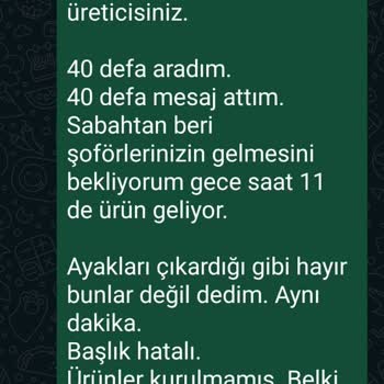 Lova Yatak Sorumsuz Ve Lakayıt