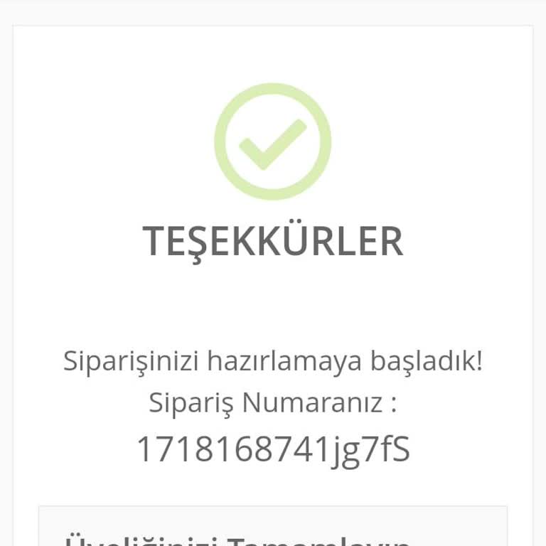 Kafkas Pet Kargom Ne Zaman Gönderilecek