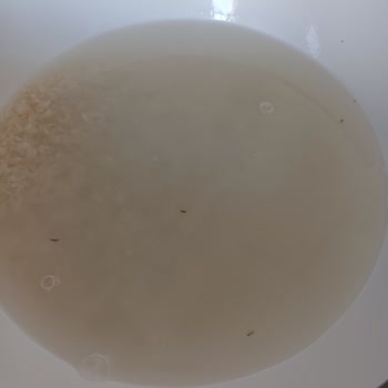 Migros Böceklenmiş Pirinç Yolluyor