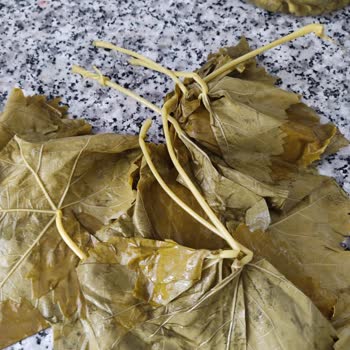 Enfes Ev Lezzetleri (enfes_ev_lezzetleri) İnsanlarla İletişimi Kötü