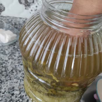 Enfes Ev Lezzetleri (enfes_ev_lezzetleri) İnsanlarla İletişimi Kötü