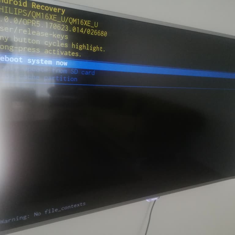 PHILIPS TV Philips 49pus6501 Recovery Hatası
