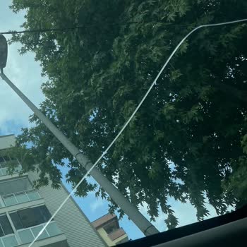 Skoda Kamiq Cam Tavan Çatlaması