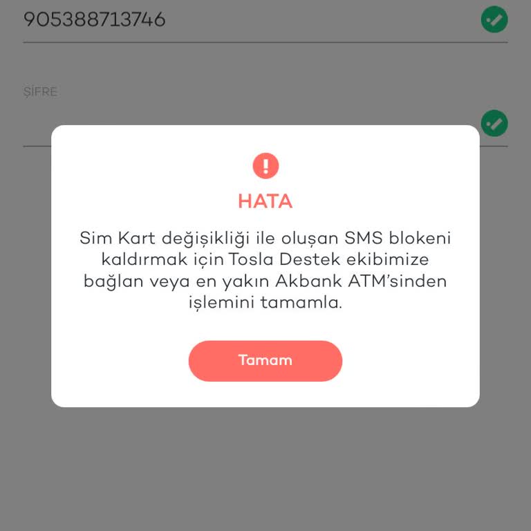 Tosla'nın Toslatan Müşteri Temsilcileri