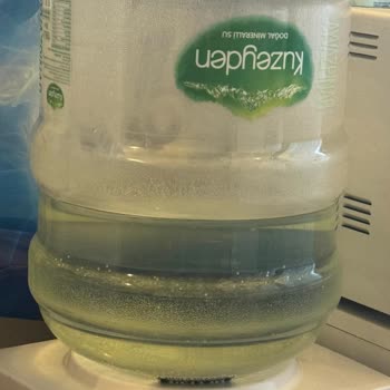 Kuzeyden Su Yosunlaşma Ve Yeşillenme