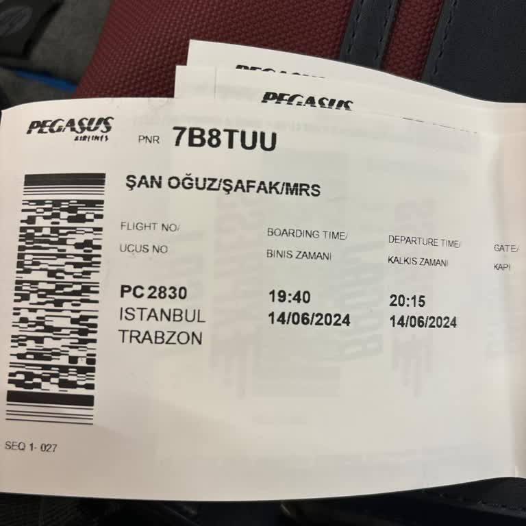 Pegasus Pişmanlıktır Sürekli Erteleme Yapan Başka Bir Firma Var Mı?