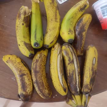 Şok Market'ten Gelen Ürünlerin Kalitesi Ve Hizmet Eksikliği