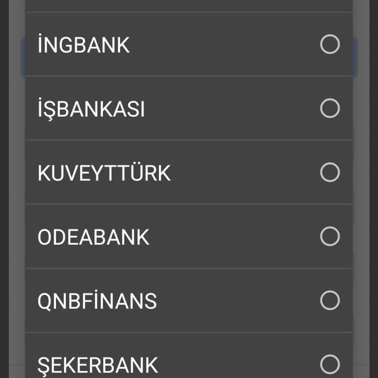 Ronix Roni App Papara Yok