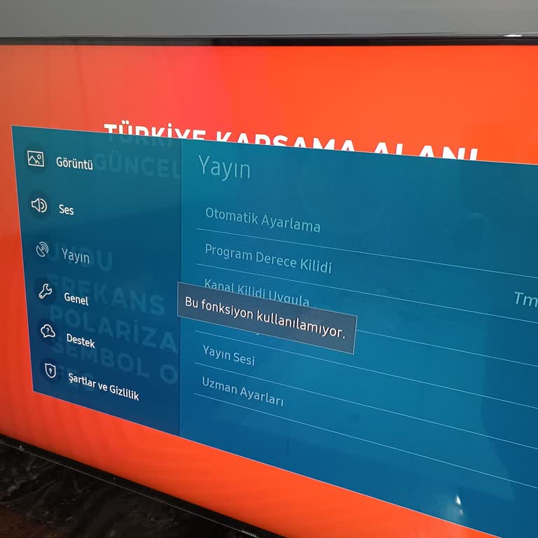 Samsung Yayın Fonksiyonu Kullanılamıyor