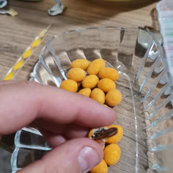 Çerezya Farklı Ürün Çıktı