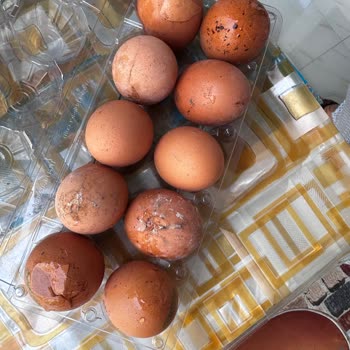 Getir Bozuk Ürününün Arkasında Durmuyor