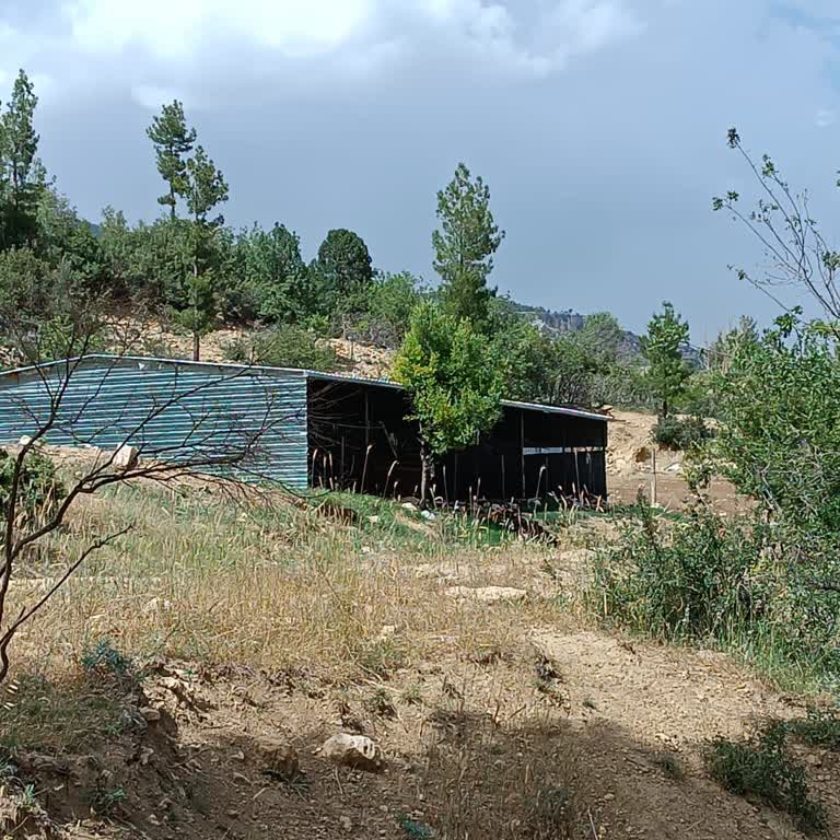 Mut Belediyesi Yerleşim Yeri Yakınında Ki Ağıldan Kaynaklanan Pire Ve Koku