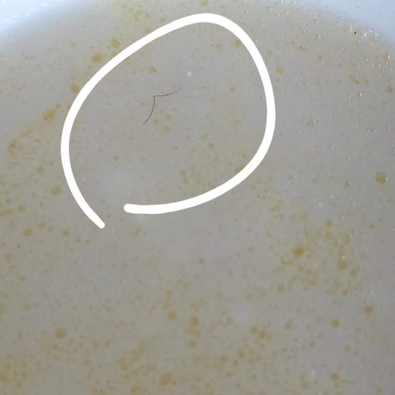 Tarihi Polatlı Çorbacısı Mekanın Daki Çorbadan Sinek Ve Kıl Çıktı