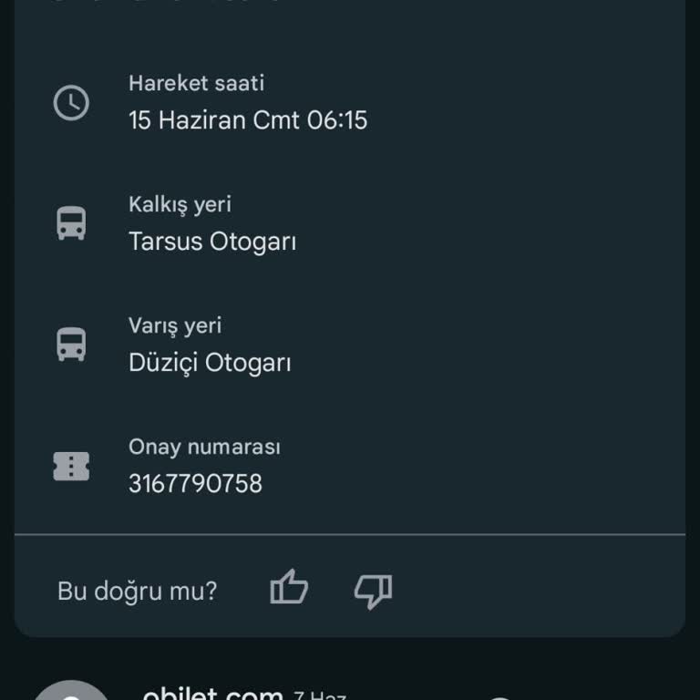 Kamil Koç İle Yaşanan Seyahat Sorunu