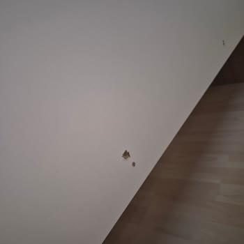 Bellona Markası Yazıklar Olsun Bayram Arefesi Şoktayım