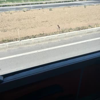 Yükseller Aksaray Birlik Otobüs Firması