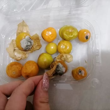 Migros Sanal Market Ürün İadesi Saçmalığı, Vurdumduymazlığı