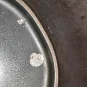 BİM'in Airfryer Satışında Yanlış Bilgi Vermesi Servis Mağduriyeti