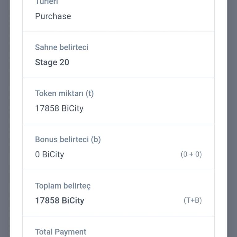 Bicity Transfer Gerçekleşmedi Para Yok
