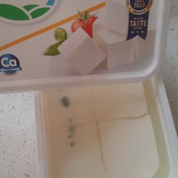 Ekici Peynir Son Kullanma Tarihine Daha Olmasına Rağmen Küflü Çıktı