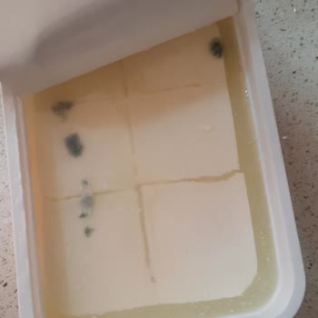 Ekici Peynir Son Kullanma Tarihine Daha Olmasına Rağmen Küflü Çıktı