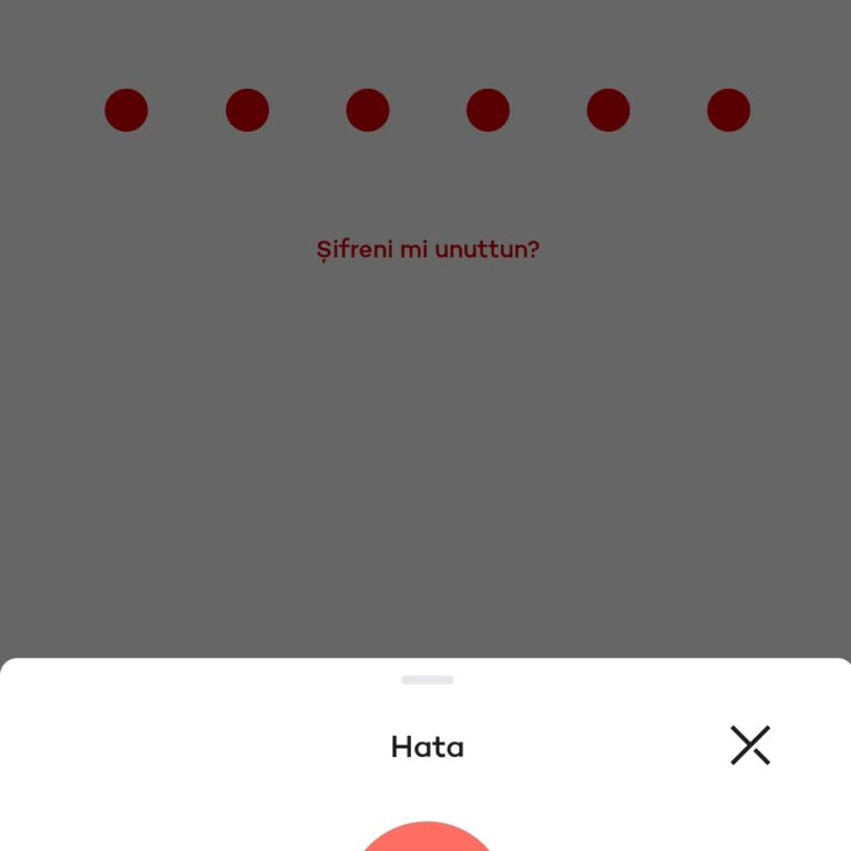 Akbank Mobil Uygulama Giriş Yapamıyorum