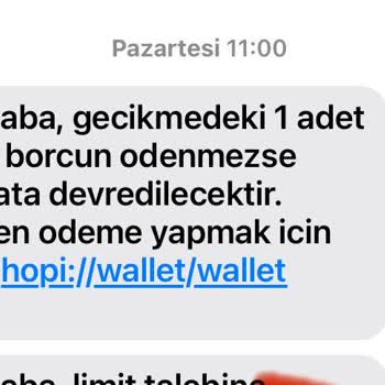Hopi Kredim Ödeme Yapmama İzin Vermediğinden Yasal Takibe Alındım