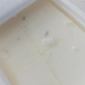 Ekici Peynir Yeni Alınan Ekici Peynirin İçinden Küf Çıktı