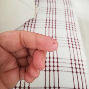 Tarsus Belediyesi Depo Temizliği Ve İlaçlama