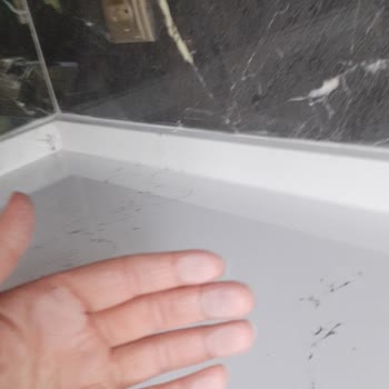 Elif Temizlik (Kayseri) Elif Temizlik İle Yaşadığım Hayal Kırıklığı