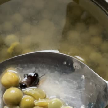 Tat Gıda Tat Marka Bezelye Konservesinin İçinden Başı Kopmuş Böcek Çıktı!