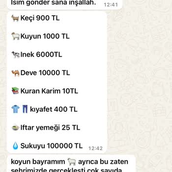 WhatsApp +237 Rahatsız Edici Mesaj