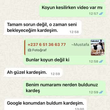 WhatsApp +237 Rahatsız Edici Mesaj