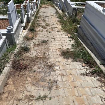 İBB - İstanbul Büyükşehir Belediyesi Mezarlık Çevre Düzenlemesi