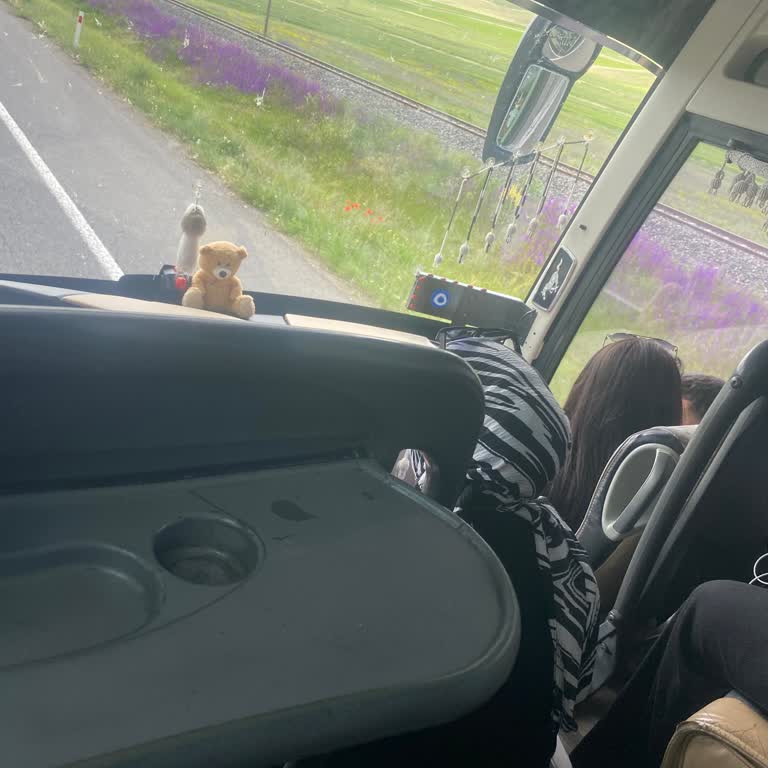 Öz Has Bingöl Turizmin Araç İçinde Sigara İçirmesi