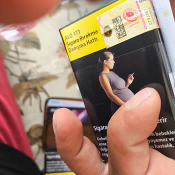 Parliament Küflü Çıkıyor