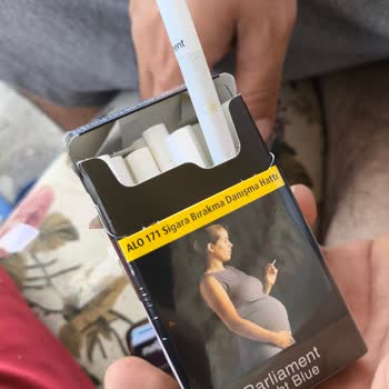 Parliament Küflü Çıkıyor