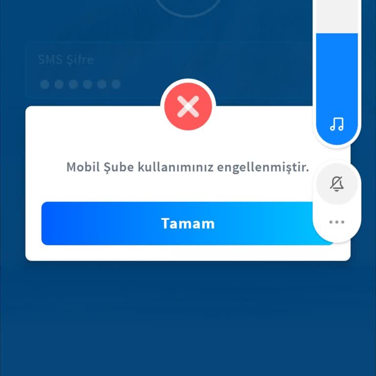 Halkbank Mobil Şubeye Erişim Hatası