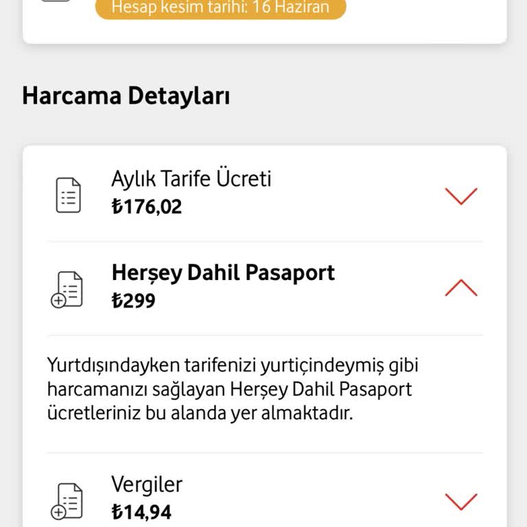 Vodafone Kuşadası'nda Yurt Dışı Ücreti Şoku: Fatura İptali Talebi