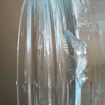 Kiwi Home Trendyol Dan Aldığım Kiwi Marka Sürahili Blender Servis Sorunu