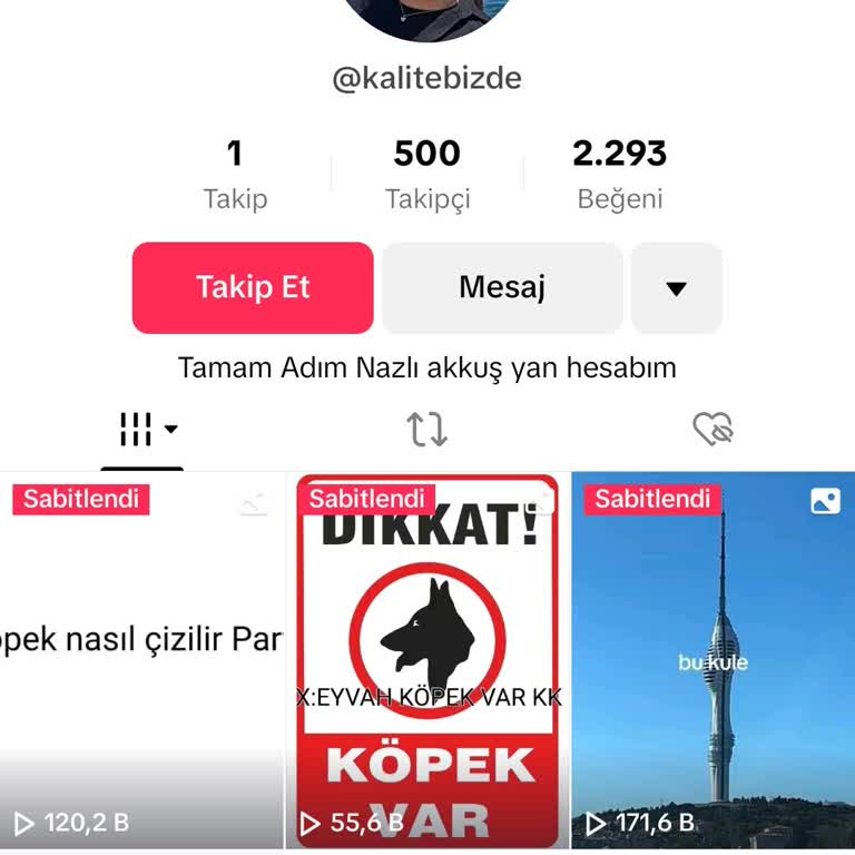TikTok Dinimize Ve Allah'A Saygısızlık