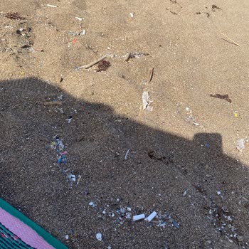 Milli Emlak Müdürlüğü Sahilin Temizlenmesini İstiyoruz