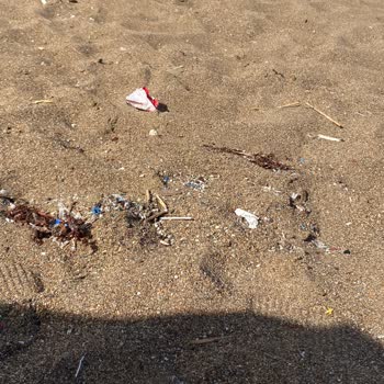 Milli Emlak Müdürlüğü Sahilin Temizlenmesini İstiyoruz